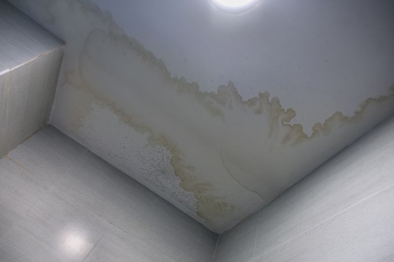 Ceiling Repair Service in Conroe, TX